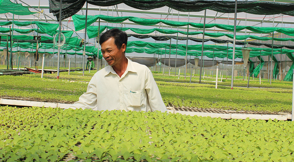 Nông nghiệp An Giang ứng dụng công nghệ cao