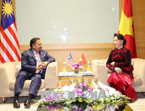 Chủ tịch Quốc hội Nguyễn Thị Kim Ngân tiếp Chủ tịch Thượng viện Malaysia