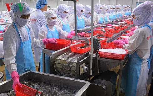 Kế hoạch hành động quốc gia phát triển ngành tôm Việt Nam 