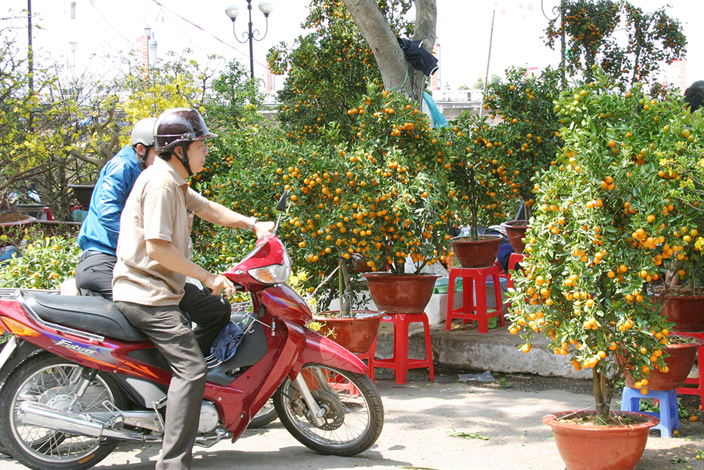 Chợ hoa xuân những ngày cận Tết
