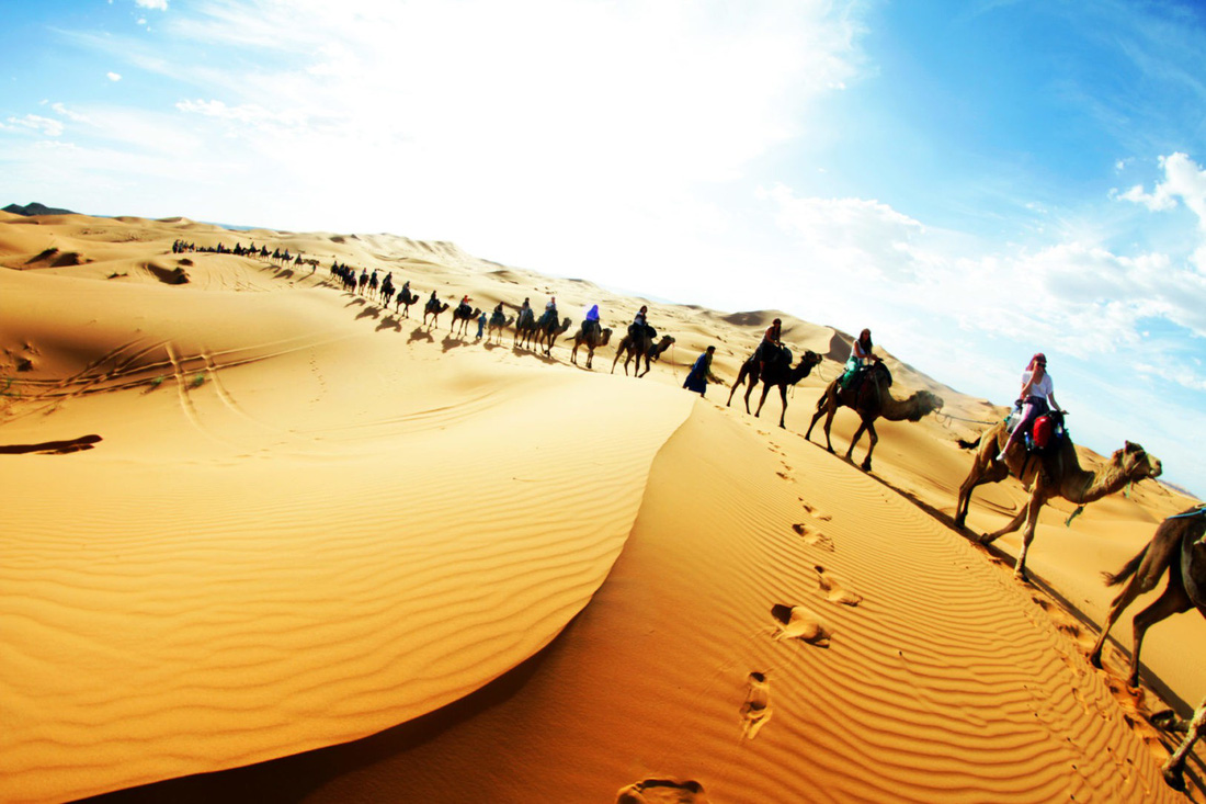 Sa mạc đẹp: Hãy chiêm ngưỡng vẻ đẹp cực kỳ ngoạn mục của Sa mạc trong bức ảnh này. Các khung cảnh đượm đà huyền bí, với những ngọn đồi cát dạt dào và hàng trăm cột cát tạo nên một môi trường sống kỳ diệu và đầy thách thức.