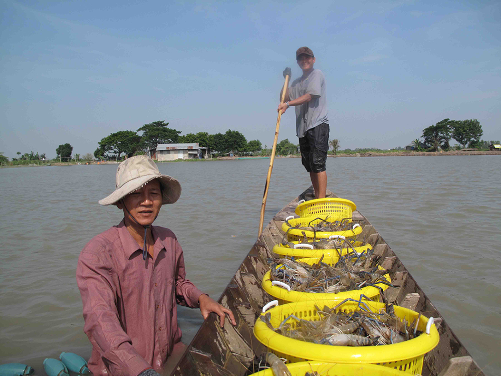 Niềm vui trên những cánh đồng xả lũ