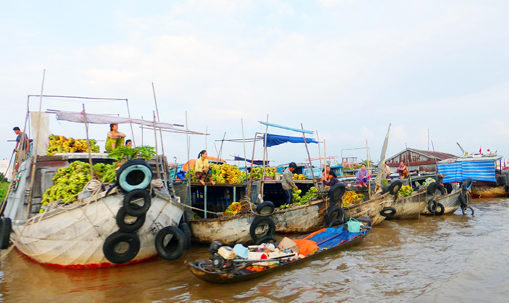 Thương hồ chợ nổi