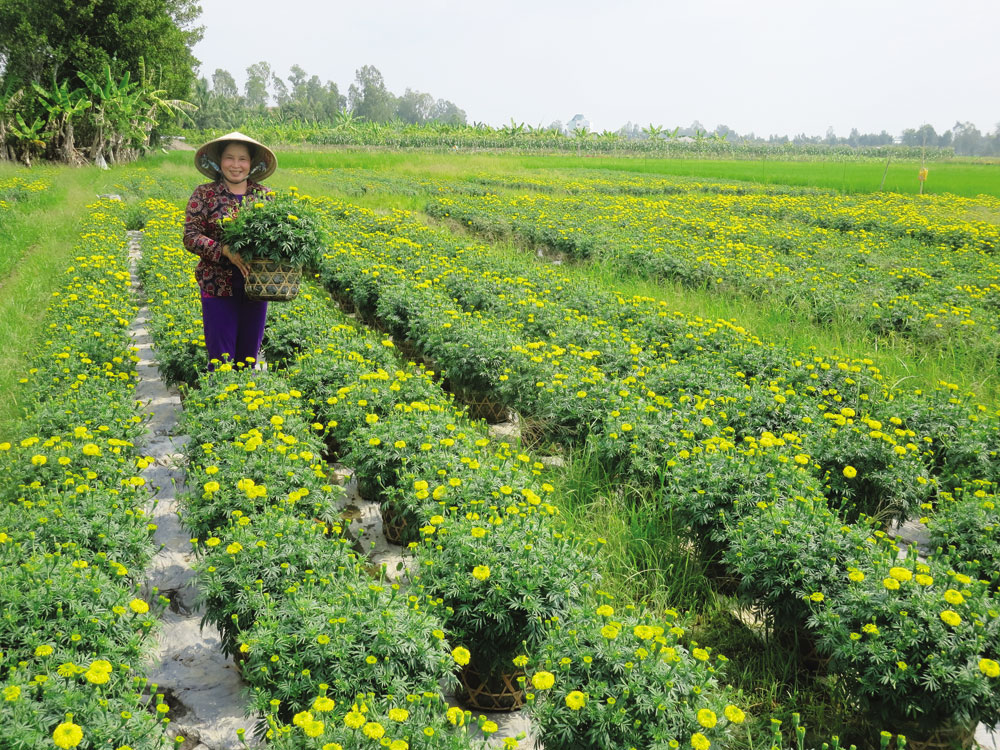 Sắc hoa Định Thành