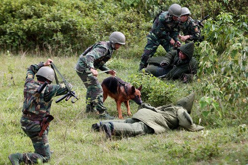Một ngày với các chiến binh 4 chân