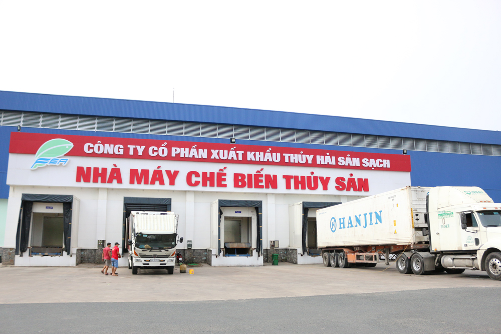 IDI tự tin vượt bão