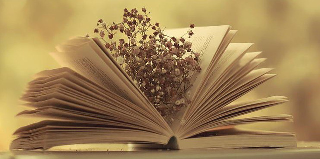 'Điều còn lại là tình người, đúng không người bạn vắn số của tôi'?