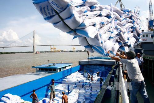 Xuất khẩu quý I tạo điểm sáng trong bức tranh kinh tế