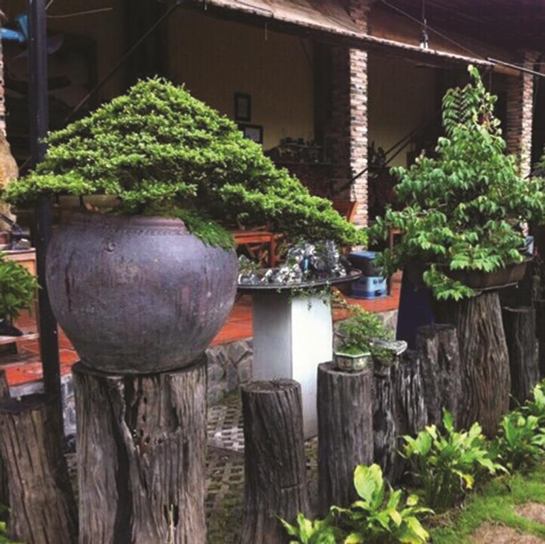 Tạo sản phẩm cho du lịch Cù lao Giêng cất cánh