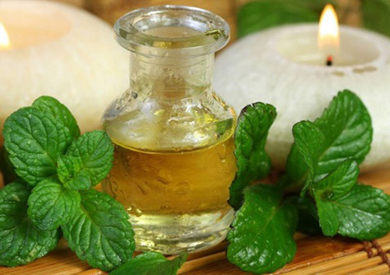Cách đuổi muỗi trong nhà để phòng bệnh sốt xuất huyết