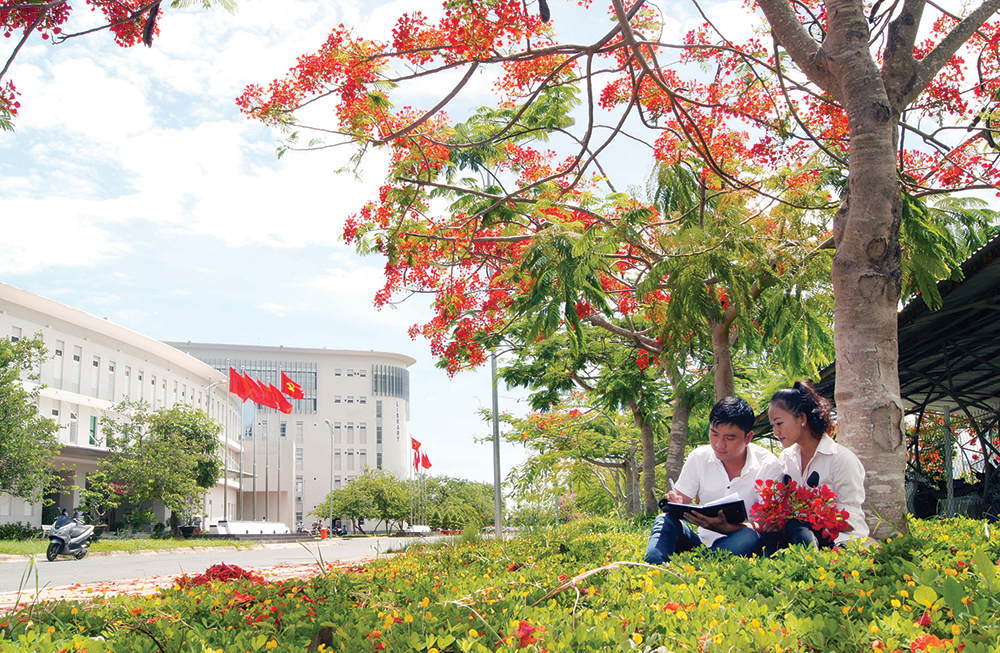 Đốn hàng loạt cây phượng trong sân trường do sợ trách nhiệm  Việt Tân