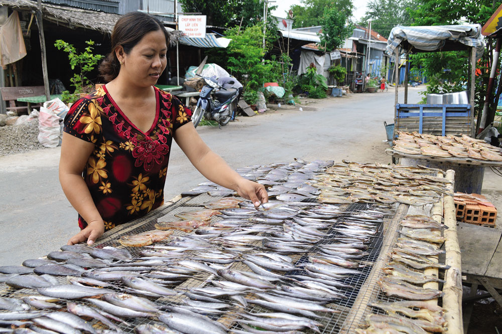 Xứ khô đầu nguồn