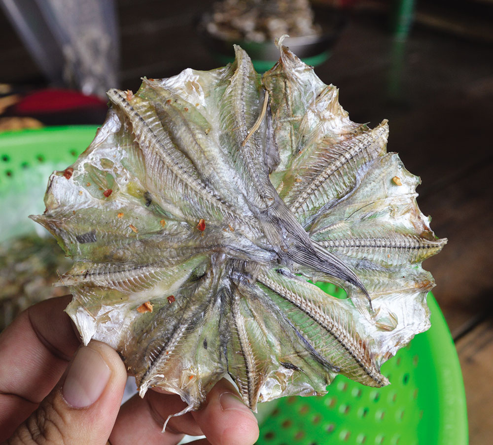 Xứ khô đầu nguồn