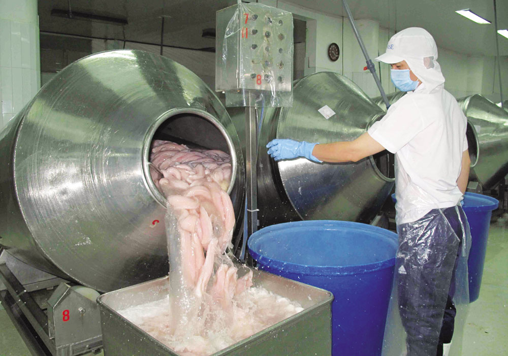 Quy hoạch lại ngành cá tra