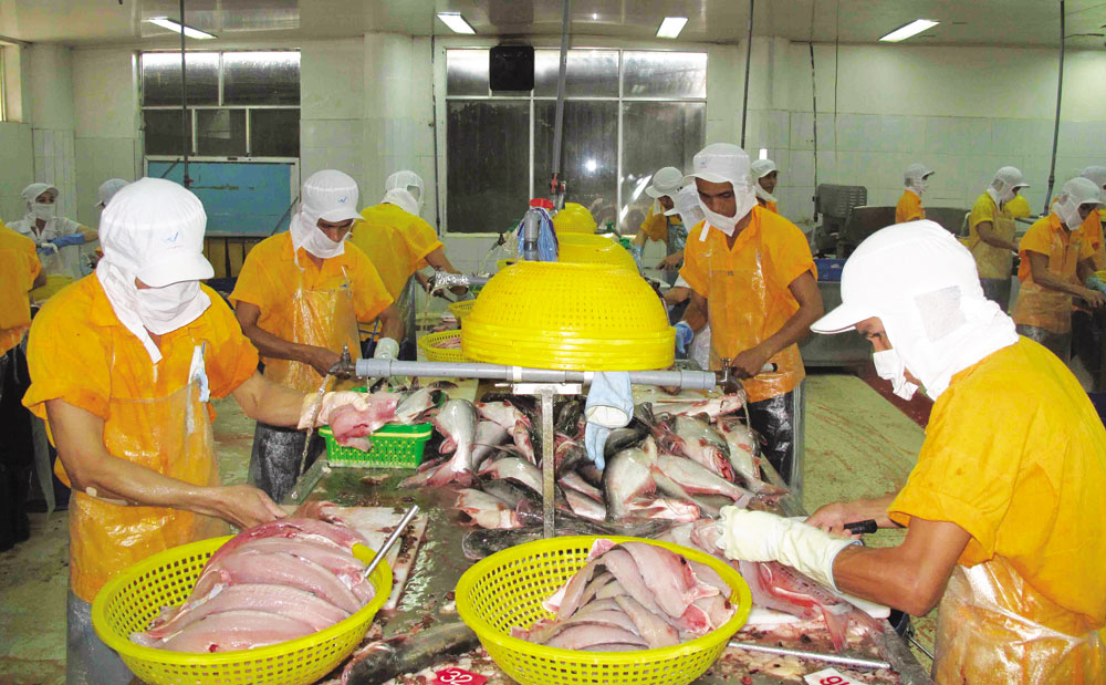 Quy hoạch lại ngành cá tra