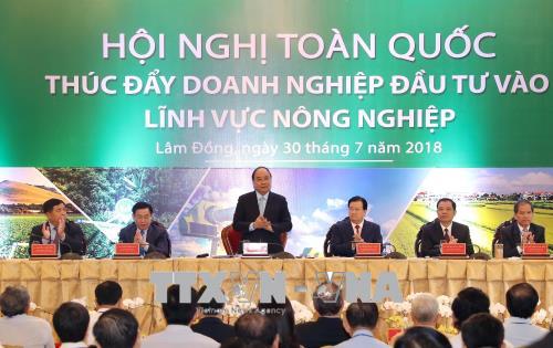 Thủ tướng: Phấn đấu đưa nông nghiệp vào top 15 nước phát triển nhất thế giới