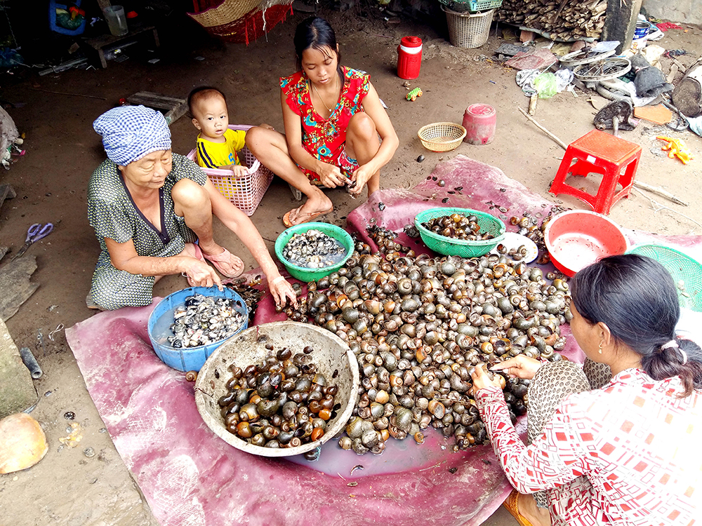 Người dân mong chờ lũ “ngọt” Người dân mong chờ lũ “ngọt”