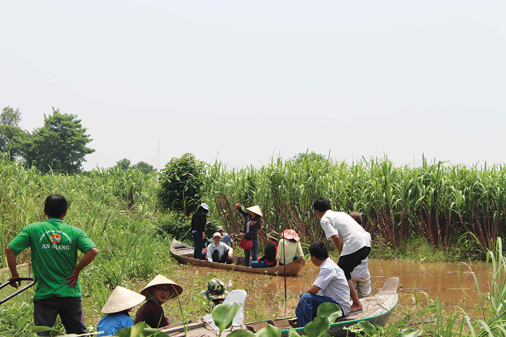Nông dân làm du lịch miệt vườn Nông dân làm du lịch miệt vườn