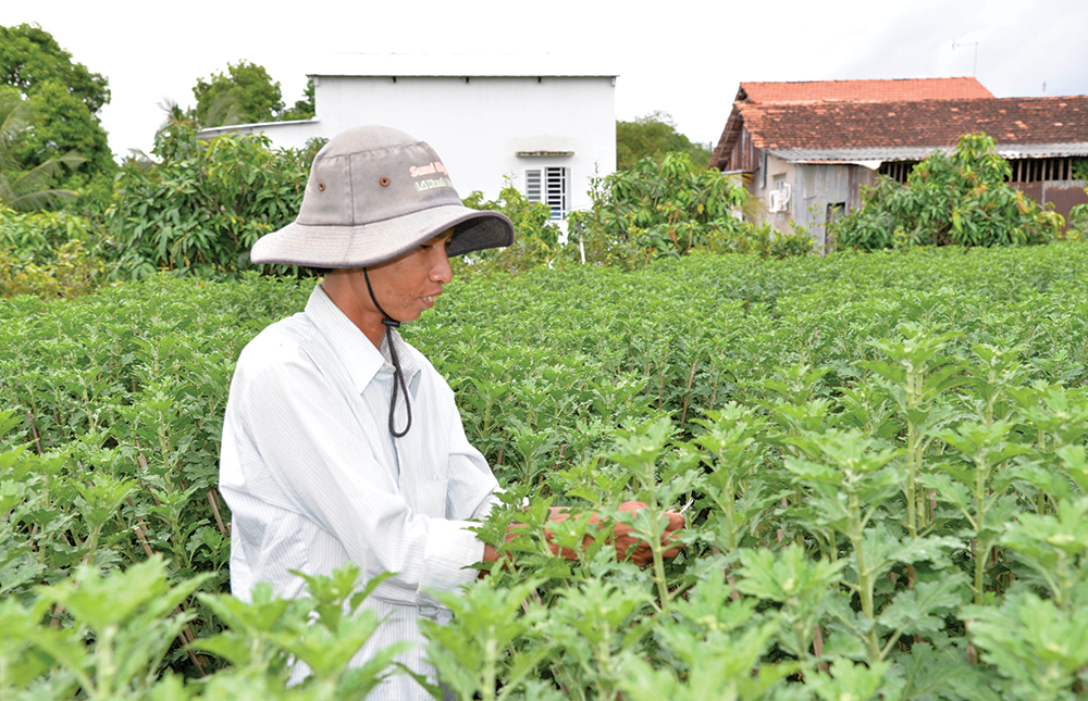 Nông thôn mới Mỹ Hòa Hưng Nông thôn mới Mỹ Hòa Hưng