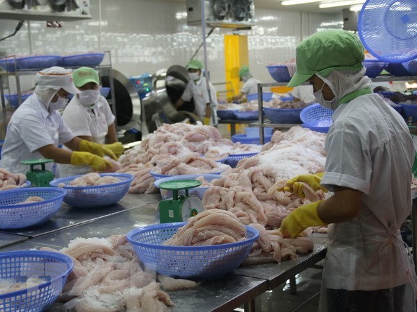 Xuất khẩu cá tra sang thị trường EU có dấu hiệu phục hồi