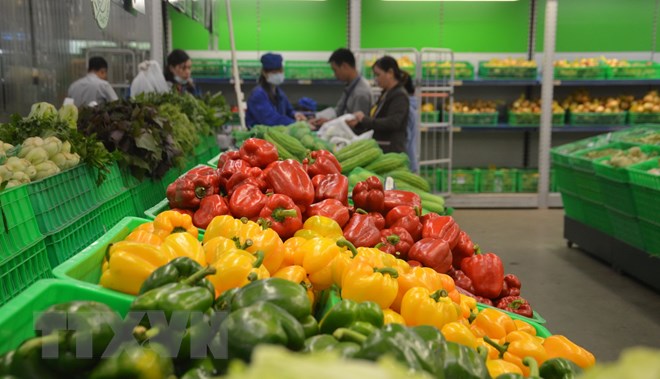 Kim ngạch xuất khẩu rau quả 8 tháng của Việt Nam tăng hơn 14%