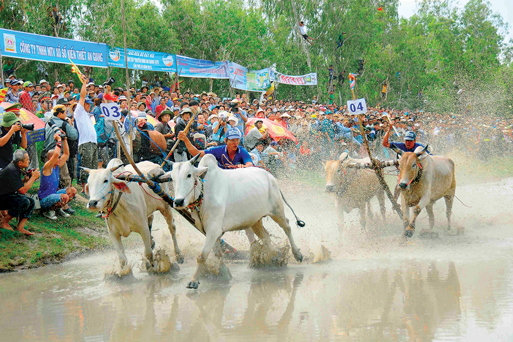 Du lịch An Giang mùa nước nổi