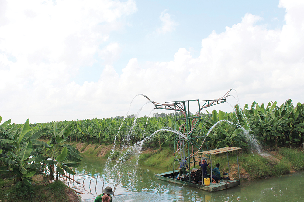 Thu hút đầu tư vào các dự án nông nghiệp lớn Thu hút đầu tư vào các dự án nông nghiệp lớn