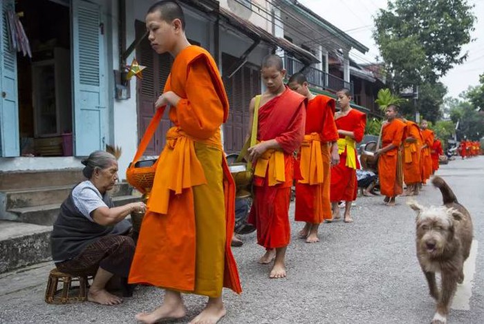 Top những điểm đến đẹp nhất Đông Nam Á được UNESCO công nhận có tới 2 cái tên Việt Nam