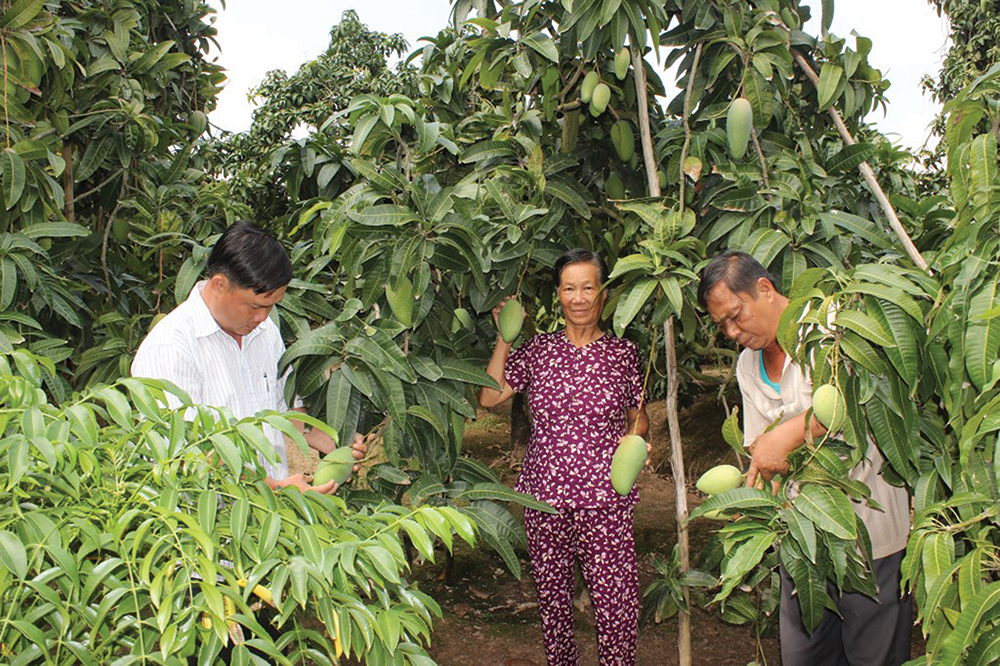 Làm gì để phát triển cù lao Giêng? Làm gì để phát triển cù lao Giêng?