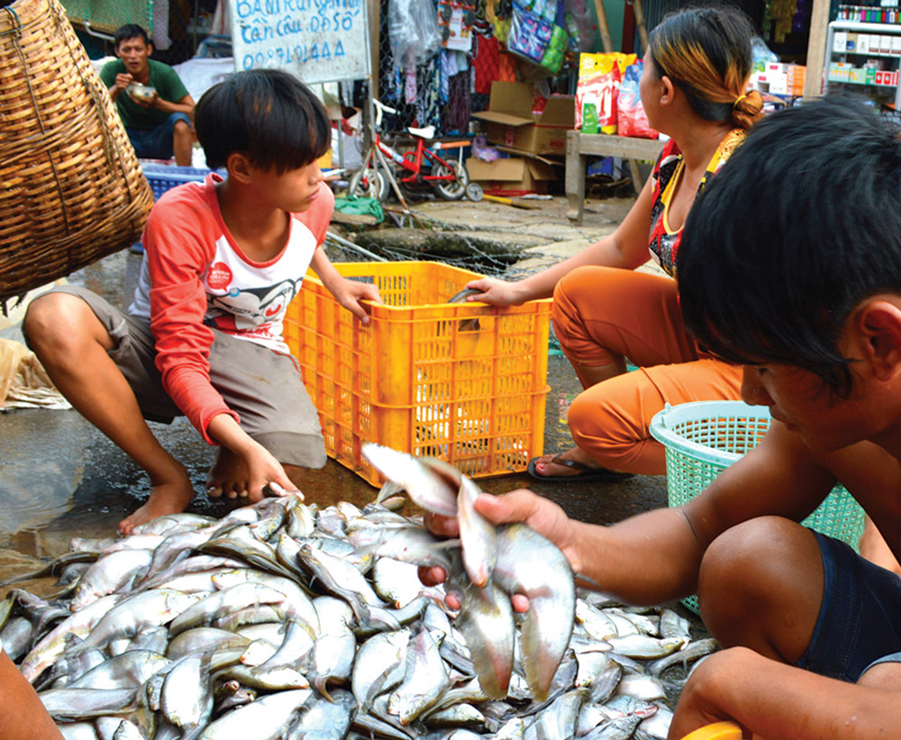 Chợ quê mùa lũ