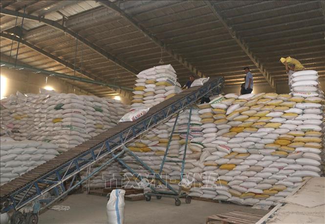 Xuất khẩu năm nay có thể chạm ngưỡng 239 tỷ USD