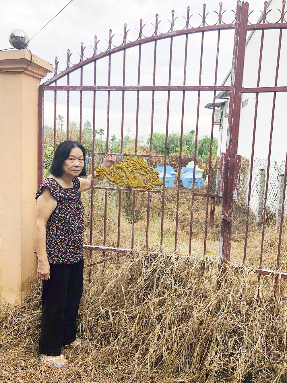 Tranh chấp đất phần mộ trong họ tộc Tranh chấp đất phần mộ trong họ tộc