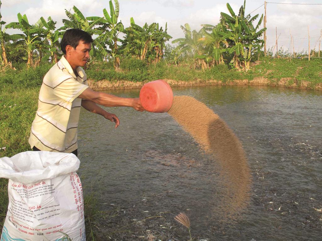 Lãi nhiều, rủi ro cao