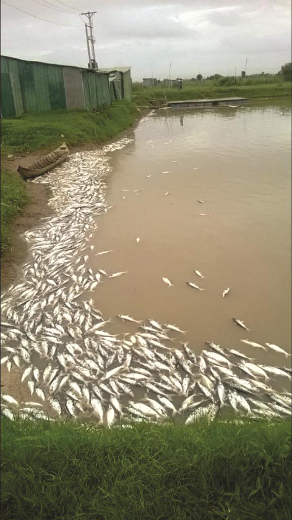 Lãi nhiều, rủi ro cao