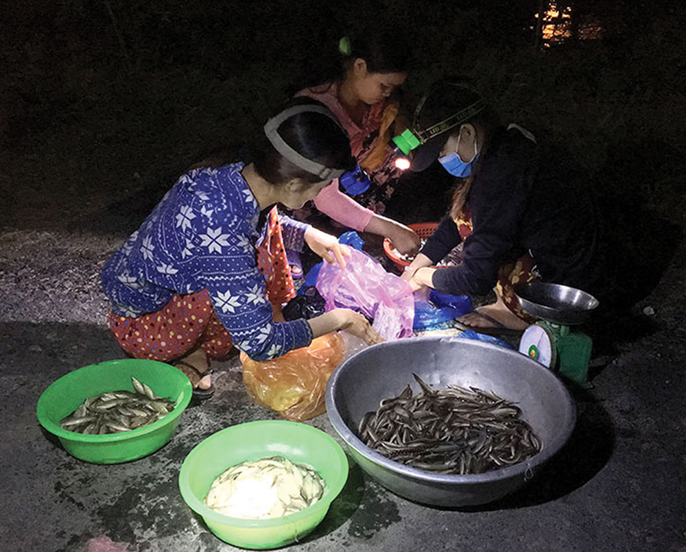 “Chợ ma” mùa nước nổi