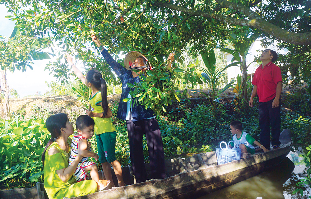 Rong chơi theo mùa nước nổi