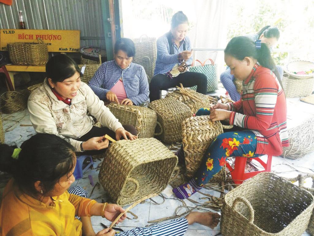 Chuyện khởi nghiệp của cô gái xứ núi