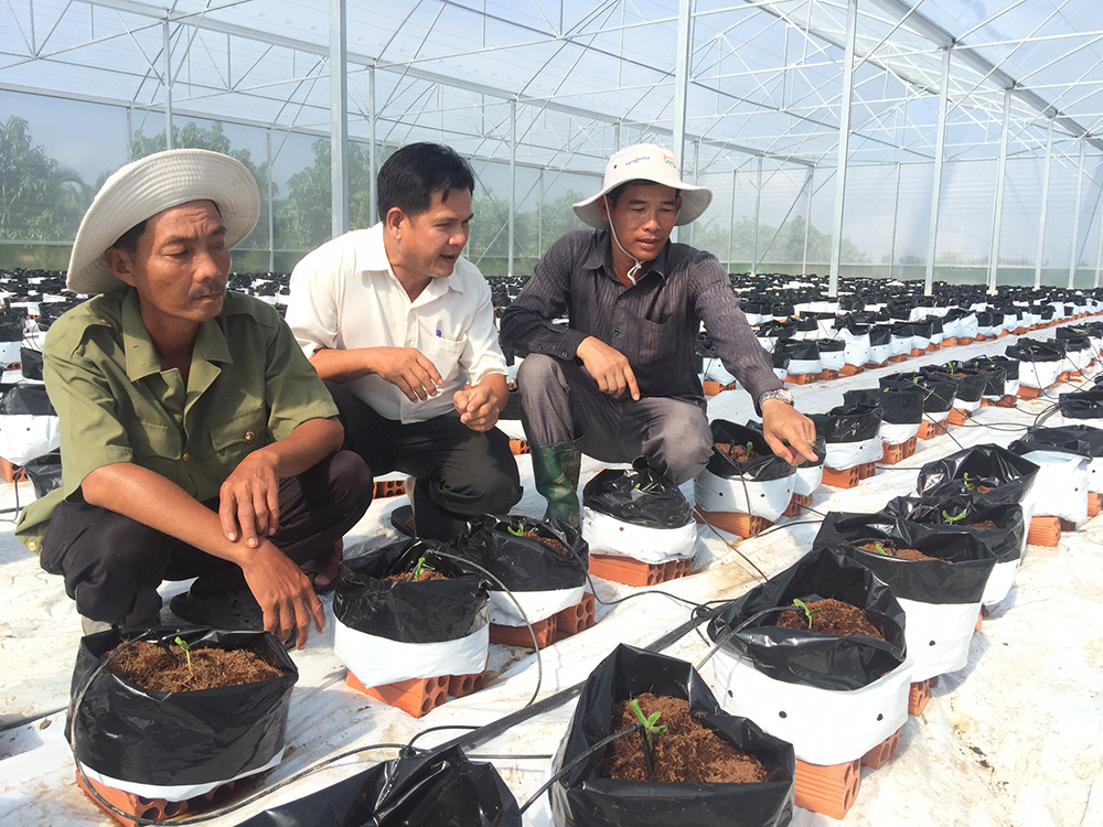 “Ðột phá” từ mô hình vườn - ao - chuồng tổng hợp