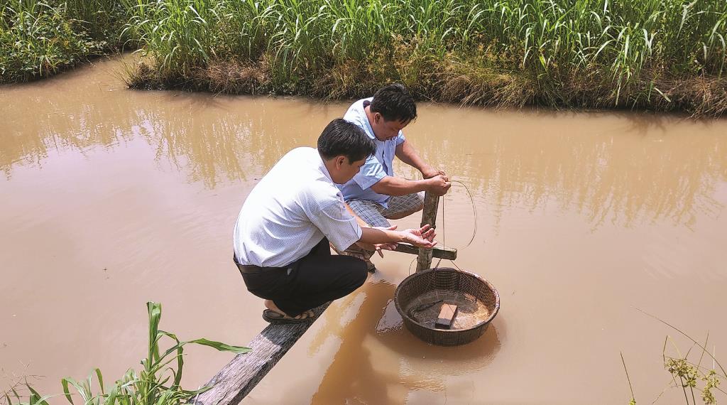 Mô hình triển vọng của nông dân Phú Tân