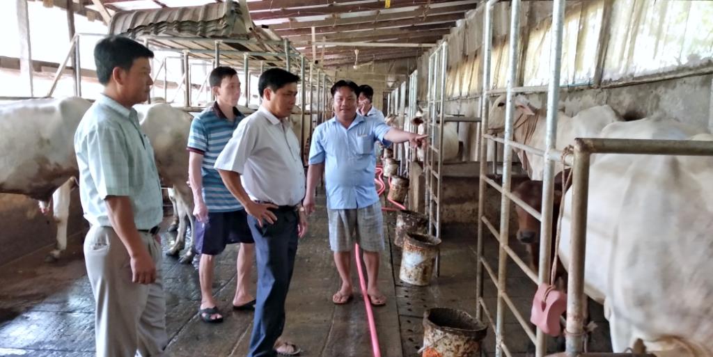 Mô hình triển vọng của nông dân Phú Tân