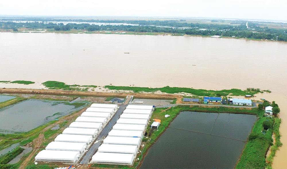 Tâm huyết của nhà đầu tư với An Giang
