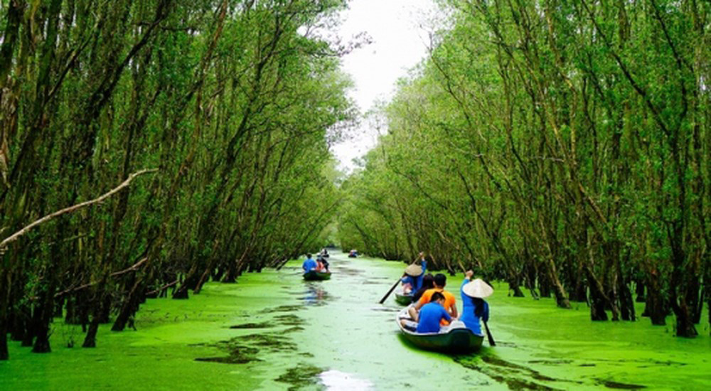 Sao Mai Trà Sư “mở mũi” xúc tiến du lịch sinh thái Sao Mai Trà Sư “mở mũi” xúc tiến du lịch sinh thái
