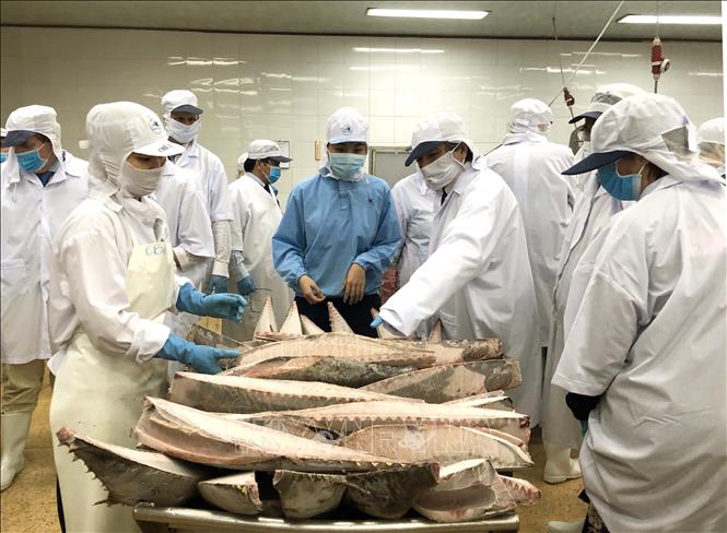 'Thẻ vàng' IUU làm thay đổi nhận thức về phát triển nghề cá