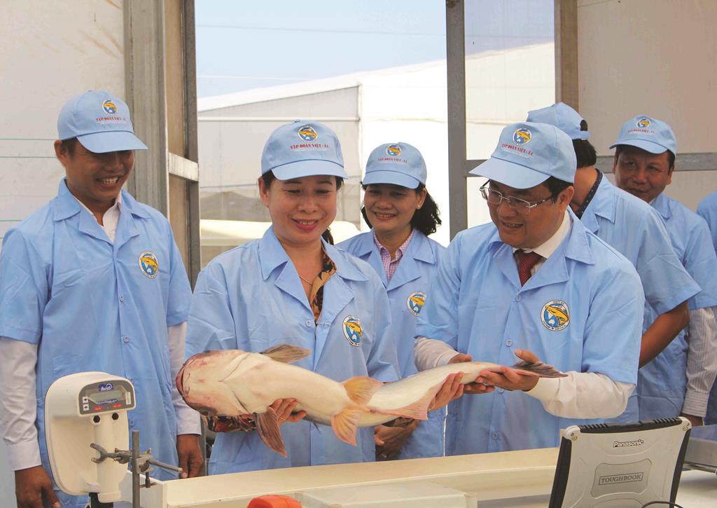 “Cuộc chơi” dành cho người đủ điều kiện