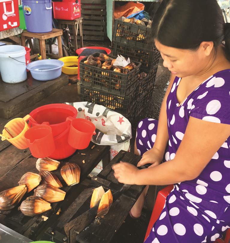 Dân dã dừa nước