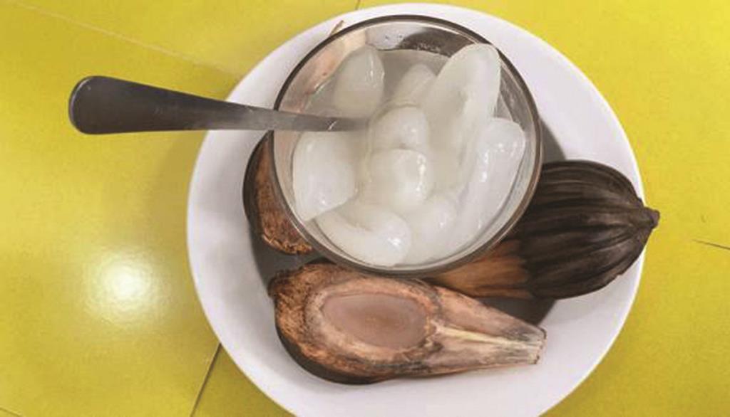 Dân dã dừa nước