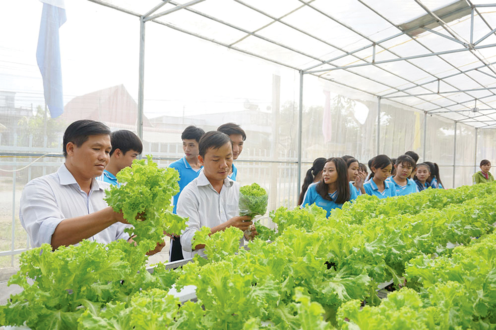 500m2 nhà màng trồng dưa lưới khoảng bao nhiêu #48 500m2 nhà màng trồng dưa lưới khoảng bao nhiêu