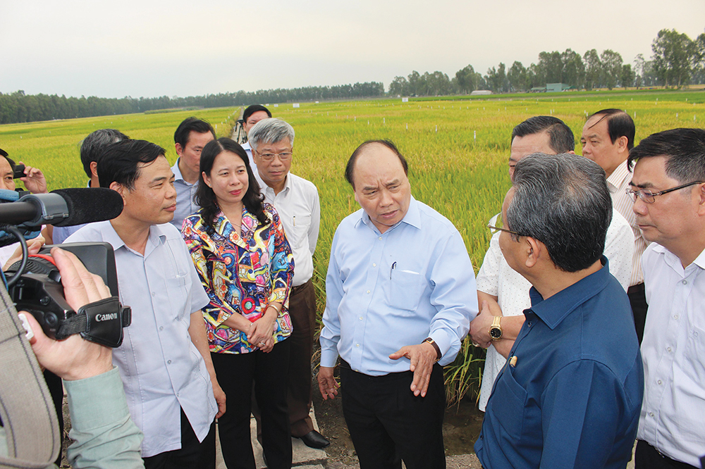 Làm sao tạo đột phá cho nông nghiệp? Làm sao tạo đột phá cho nông nghiệp?