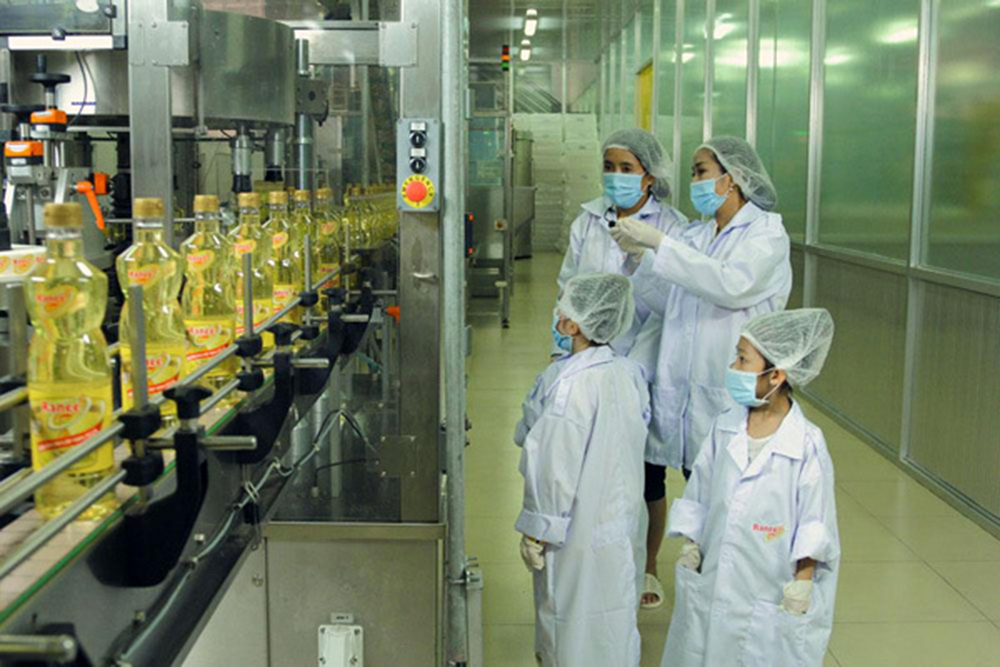 Dầu ăn 100% từ cá an toàn và chất lượng cho mọi gia đình Dầu ăn 100% từ cá an toàn và chất lượng cho mọi gia đình