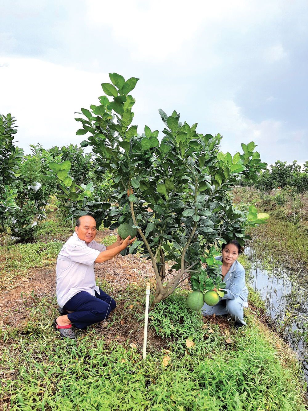 “Làng” nông thôn mới!